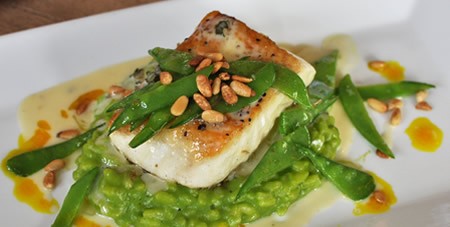 View of Chef Scott Erhlich's Swordfish with Pea Risotta on a White Plate at The Dunes Restaurant at the Winnetu