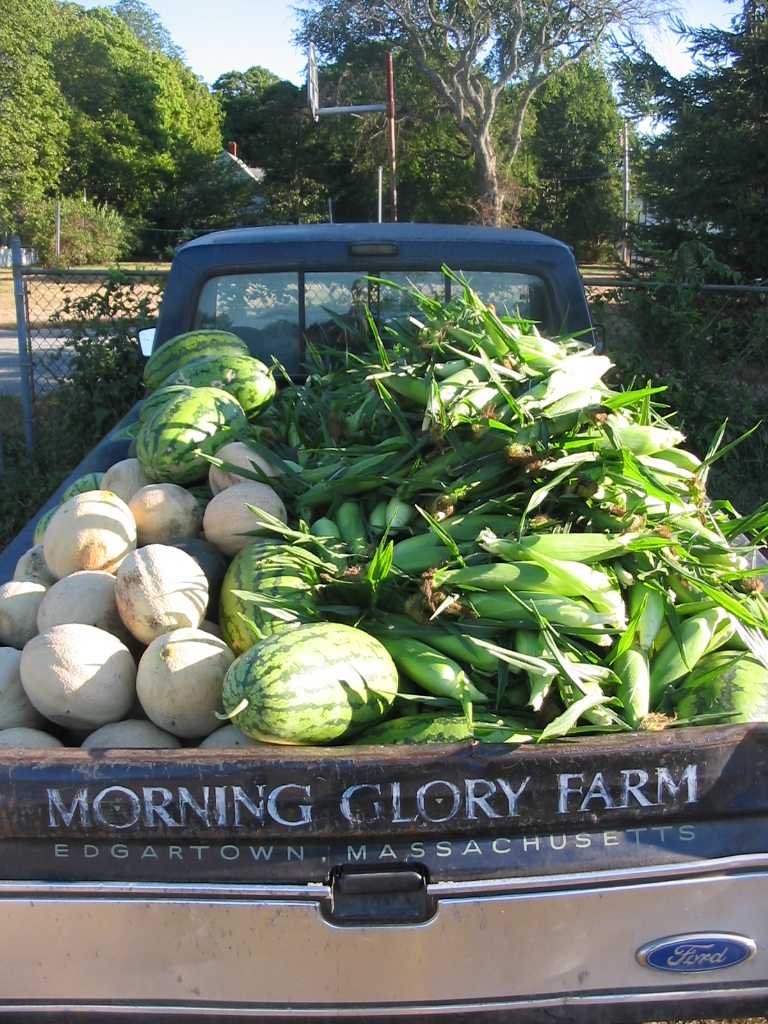 A pickup truck full of fresh vegetables from Morning Glory Farm