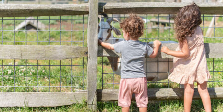 Martha's Vineyard Farms